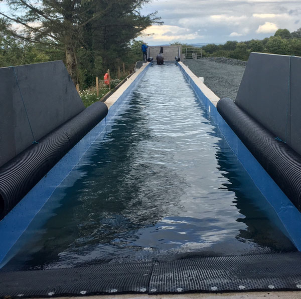 Equine Swimming Pool