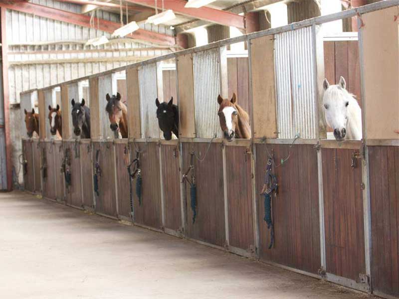 kilbrein equine rehabilitation